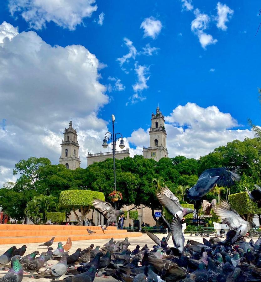 Готель Casa Colonial Gonzalez Меріда Екстер'єр фото